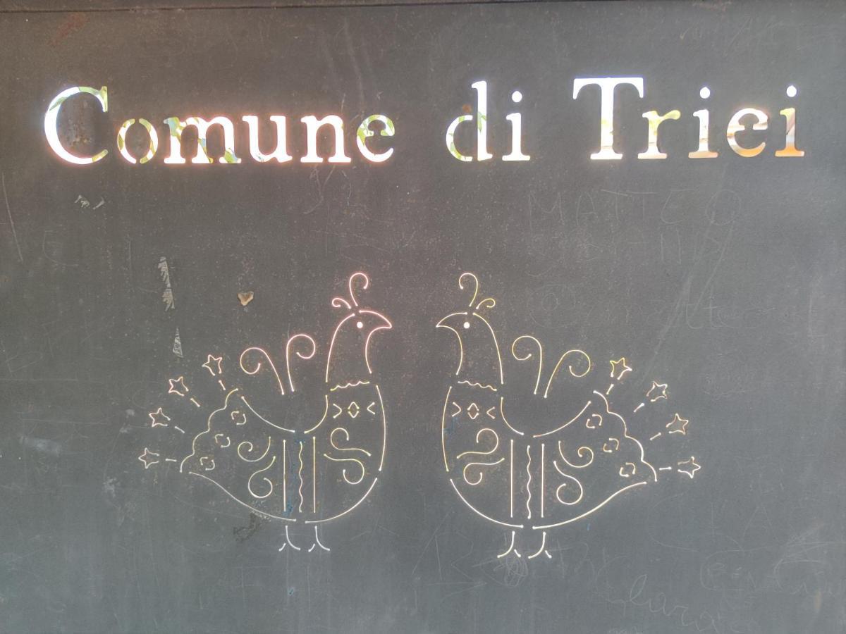 Villa Sa Dommu 'E Su Coro Triei Exterior foto